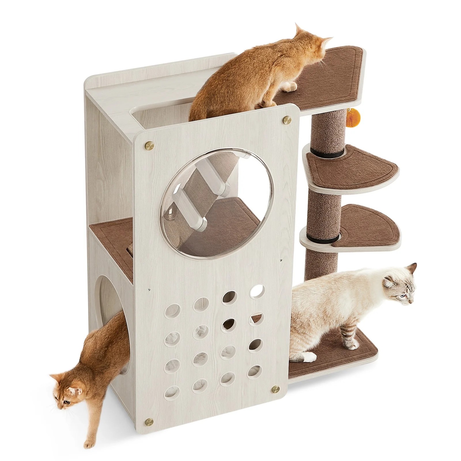 Vorschaubild 1